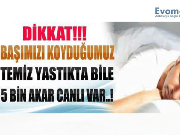 Ev Tozu Akarları