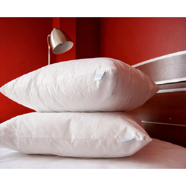 Evomed Antialerjik B&uuml;y&uuml;k Yastık 50x70 cm Toz Akarı Ge&ccedil;irmez Anti Mite