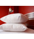 Evomed Antialerjik 2 Adet Büyük Yastık 50x70 cm Toz Akarı Geçirmez Anti Mite